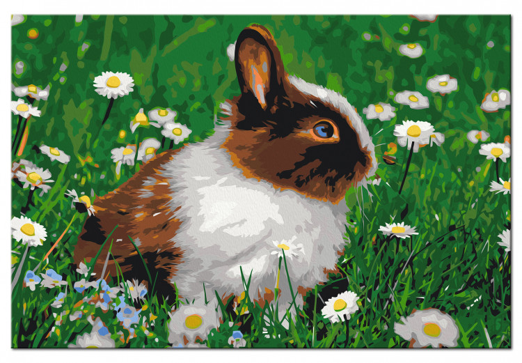 Peinture par numéros Rabbit in the Meadow 134538 additionalImage 6