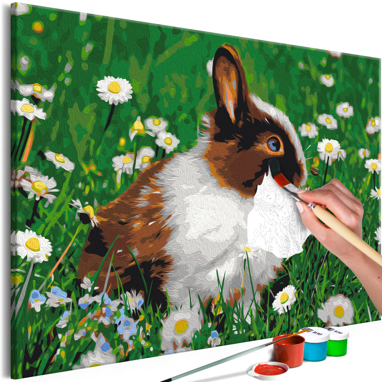 Peinture par numéros Rabbit in the Meadow 134538 additionalImage 3
