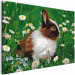 Peinture par numéros Rabbit in the Meadow 134538 additionalThumb 5