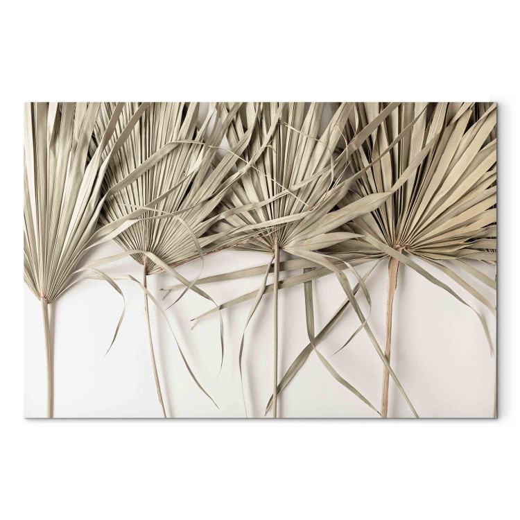 Tableau tendance Boho palm - composition with dried palm leaves on a light background 151238 additionalImage 7