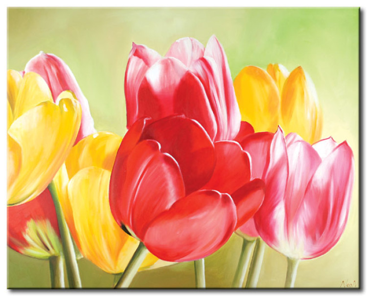 Toile déco Fraîcheur des tulipes (1 pièce) - Fleurs colorées sur fond vert 48668