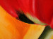 Toile déco Fraîcheur des tulipes (1 pièce) - Fleurs colorées sur fond vert 48668 additionalThumb 4