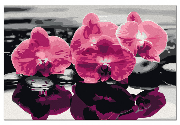 Tableau peinture par numéros Trois orchidées 107319 additionalImage 5