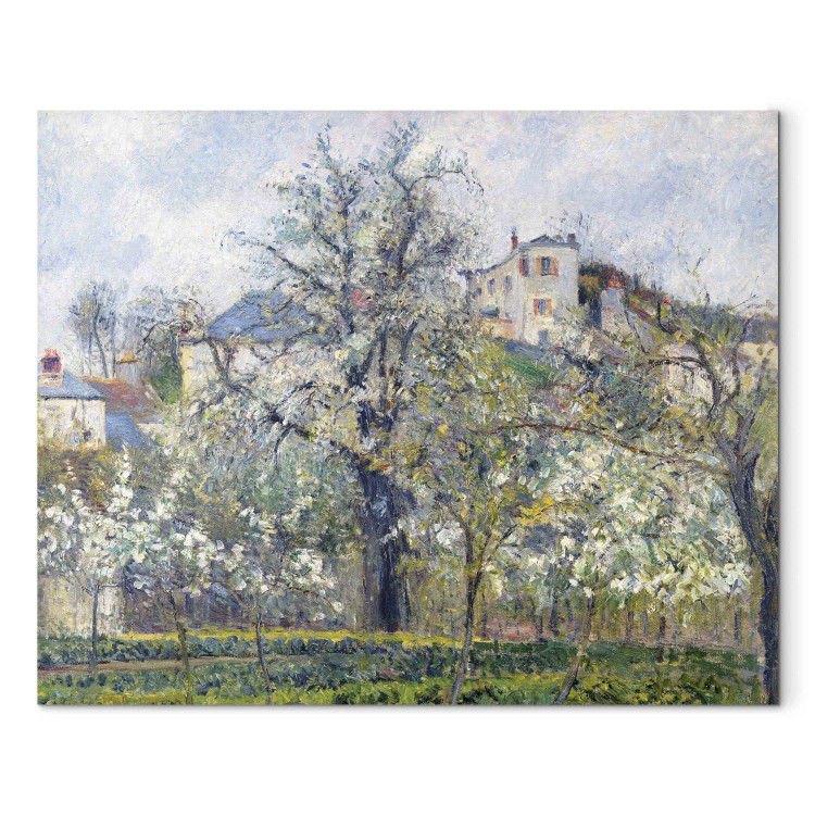 Tableau mural The Vegetable Garden with Trees in Blossom, Spring, Pontoise 158439