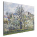Tableau mural The Vegetable Garden with Trees in Blossom, Spring, Pontoise 158439 additionalThumb 2