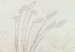 Papier peint moderne Blooming in the Fog - White Lilies on a Shaded Background - Green 149249 additionalThumb 4
