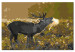 Kit de peinture par numéros Deer on Rut 117189 additionalThumb 6